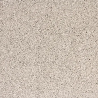 Radiant Beauty - Image 2