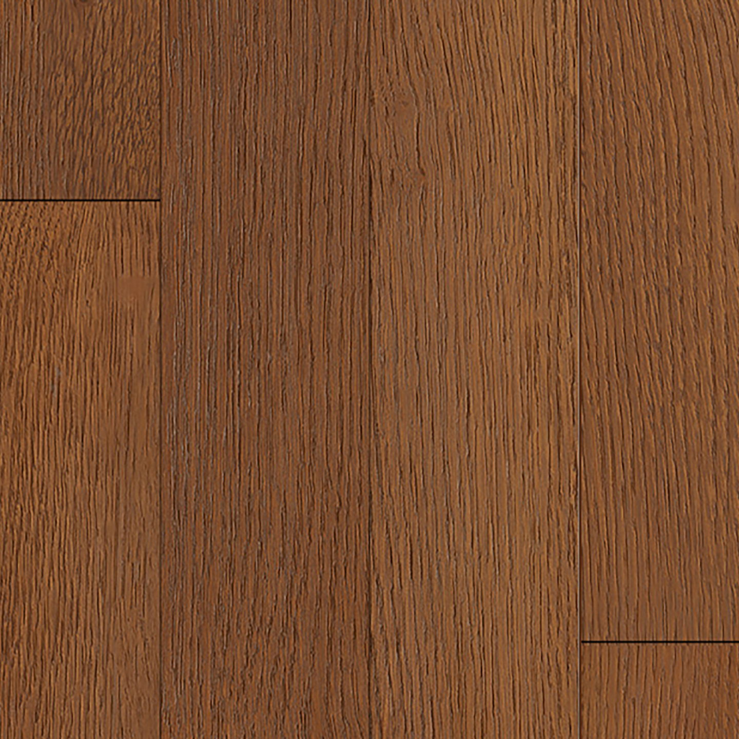 Traditions - Image 5