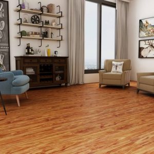 Mountain Premium MP5528