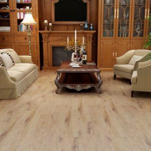 Mountain Premium MP5529