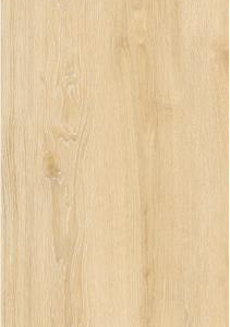 CITIES PLUS COLLECTION